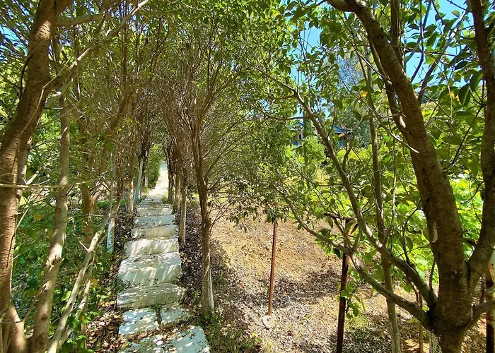 Ramo's Spectacular 2-story With Radhime Views * Wlora